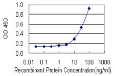 ADH5 Antibody - Detection limit for recombinant GST tagged ADH5 is 1 ng/ml as a capture antibody.