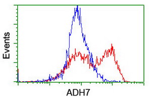 ADH7 Antibody - HEK293T cells transfected with either overexpress plasmid (Red) or empty vector control plasmid (Blue) were immunostained by anti-ADH7 antibody, and then analyzed by flow cytometry. At a dilution of 1:100. 