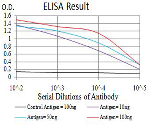 Adiponectin Antibody - Black line: Control Antigen (100 ng);Purple line: Antigen (10ng); Blue line: Antigen (50 ng); Red line:Antigen (100 ng)