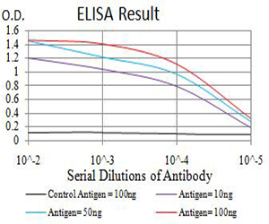 Adiponectin Antibody - Black line: Control Antigen (100 ng);Purple line: Antigen (10ng); Blue line: Antigen (50 ng); Red line:Antigen (100 ng)