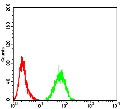 Adiponectin Antibody - Flow cytometric analysis of Hela cells using ADIPOQ mouse mAb (green) and negative control (red).