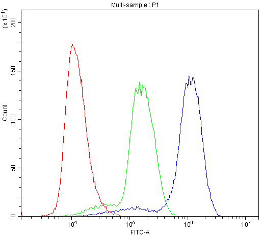 ADK / Adenosine Kinase Antibody - Flow Cytometry analysis of U937 cells using anti-ADK antibody. Overlay histogram showing U937 cells stained with anti-ADK antibody (Blue line). The cells were blocked with 10% normal goat serum. And then incubated with rabbit anti-ADK Antibody (1µg/10E6 cells) for 30 min at 20°C. DyLight®488 conjugated goat anti-rabbit IgG (5-10µg/10E6 cells) was used as secondary antibody for 30 minutes at 20°C. Isotype control antibody (Green line) was rabbit IgG (1µg/10E6 cells) used under the same conditions. Unlabelled sample (Red line) was also used as a control.