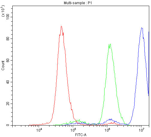 ADK / Adenosine Kinase Antibody - Flow Cytometry analysis of PC-3 cells using anti-ADK antibody. Overlay histogram showing PC-3 cells stained with anti-ADK antibody (Blue line). The cells were blocked with 10% normal goat serum. And then incubated with rabbit anti-ADK Antibody (1µg/10E6 cells) for 30 min at 20°C. DyLight®488 conjugated goat anti-rabbit IgG (5-10µg/10E6 cells) was used as secondary antibody for 30 minutes at 20°C. Isotype control antibody (Green line) was rabbit IgG (1µg/10E6 cells) used under the same conditions. Unlabelled sample (Red line) was also used as a control.