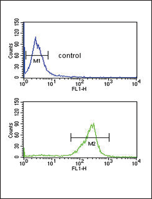 ADM / Adrenomedullin Antibody - ADM Antibody flow cytometry of MDA-MB435 cells (bottom histogram) compared to a negative control cell (top histogram). FITC-conjugated goat-anti-rabbit secondary antibodies were used for the analysis.