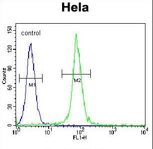ADO Antibody - ADO Antibody flow cytometry of HeLa cells (right histogram) compared to a negative control cell (left histogram). FITC-conjugated goat-anti-rabbit secondary antibodies were used for the analysis.