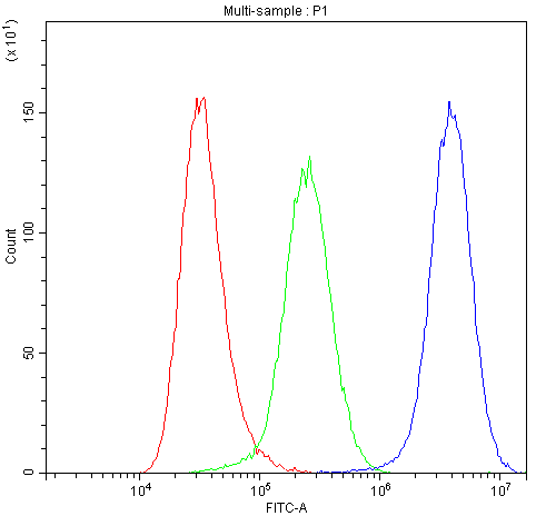 ADO Antibody - Flow Cytometry analysis of A549 cells using anti-Human ADO antibody. Overlay histogram showing A549 cells stained with anti-Human ADO antibody (Blue line). The cells were blocked with 10% normal goat serum. And then incubated with rabbit anti-Human ADO Antibody (1µg/10E6 cells) for 30 min at 20°C. DyLight®488 conjugated goat anti-rabbit IgG (5-10µg/10E6 cells) was used as secondary antibody for 30 minutes at 20°C. Isotype control antibody (Green line) was rabbit IgG (1µg/10E6 cells) used under the same conditions. Unlabelled sample (Red line) was also used as a control.