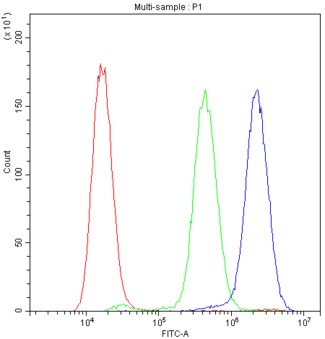 ADO Antibody - Flow Cytometry analysis of A549 cells using anti-ADO antibody. Overlay histogram showing A549 cells stained with anti-ADO antibody (Blue line). The cells were blocked with 10% normal goat serum. And then incubated with rabbit anti-ADO Antibody (1µg/10E6 cells) for 30 min at 20°C. DyLight®488 conjugated goat anti-rabbit IgG (5-10µg/10E6 cells) was used as secondary antibody for 30 minutes at 20°C. Isotype control antibody (Green line) was rabbit IgG (1µg/10E6 cells) used under the same conditions. Unlabelled sample (Red line) was also used as a control.