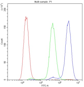 ADO Antibody - Flow Cytometry analysis of U251 cells using anti-ADO antibody. Overlay histogram showing U251 cells stained with anti-ADO antibody (Blue line). The cells were blocked with 10% normal goat serum. And then incubated with rabbit anti-ADO Antibody (1µg/10E6 cells) for 30 min at 20°C. DyLight®488 conjugated goat anti-rabbit IgG (5-10µg/10E6 cells) was used as secondary antibody for 30 minutes at 20°C. Isotype control antibody (Green line) was rabbit IgG (1µg/10E6 cells) used under the same conditions. Unlabelled sample (Red line) was also used as a control.