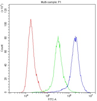 ADO Antibody - Flow Cytometry analysis of PC-3 cells using anti-ADO antibody. Overlay histogram showing PC-3 cells stained with anti-ADO antibody (Blue line). The cells were blocked with 10% normal goat serum. And then incubated with rabbit anti-ADO Antibody (1µg/10E6 cells) for 30 min at 20°C. DyLight®488 conjugated goat anti-rabbit IgG (5-10µg/10E6 cells) was used as secondary antibody for 30 minutes at 20°C. Isotype control antibody (Green line) was rabbit IgG (1µg/10E6 cells) used under the same conditions. Unlabelled sample (Red line) was also used as a control.