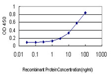 ADRA1A Antibody - Detection limit for recombinant GST tagged ADRA1A is approximately 0.3 ng/ml as a capture antibody.