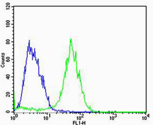 ADRA1D Antibody - Flow cytometric of MCF-7 cells with ADRA1D Antibody (green) compared to an isotype control of rabbit IgG (blue). Antibody was diluted at 1:25 dilution. An Alexa Fluor 488 goat anti-rabbit lgG at 1:400 dilution was used as the secondary antibody.