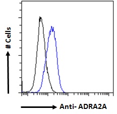 ADRA2A Antibody - ADRA2A antibody flow cytometric analysis of paraformaldehyde fixed MCF7 cells (blue line), permeabilized with 0.5% Triton. Primary incubation overnight (10ug/ml) followed by Alexa Fluor 488 secondary antibody (1ug/ml). IgG control: Unimmunized goat IgG (black line) followed by Alexa Fluor 488 secondary antibody.