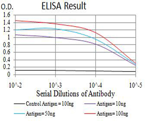 AEBP2 Antibody - Black line: Control Antigen (100 ng);Purple line: Antigen (10ng); Blue line: Antigen (50 ng); Red line:Antigen (100 ng)