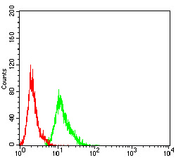 AEBP2 Antibody - Flow cytometric analysis of MCF-7 cells using AEBP2 mouse mAb (green) and negative control (red).