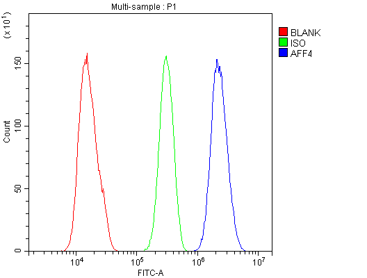 AF5Q31 / AFF4 Antibody - Flow Cytometry analysis of SiHa cells using anti-AFF4 antibody. Overlay histogram showing SiHa cells stained with anti-AFF4 antibody (Blue line). The cells were blocked with 10% normal goat serum. And then incubated with rabbit anti-AFF4 Antibody (1µg/10E6 cells) for 30 min at 20°C. DyLight®488 conjugated goat anti-rabbit IgG (5-10µg/10E6 cells) was used as secondary antibody for 30 minutes at 20°C. Isotype control antibody (Green line) was rabbit IgG (1µg/10E6 cells) used under the same conditions. Unlabelled sample (Red line) was also used as a control.