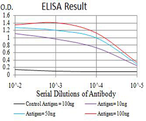 AFAP1L2 / XB130 Antibody - Black line: Control Antigen (100 ng);Purple line: Antigen (10ng); Blue line: Antigen (50 ng); Red line:Antigen (100 ng)