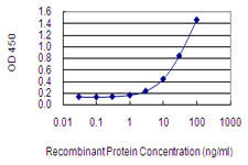 AFF2 / OX19 Antibody - Detection limit for recombinant GST tagged AFF2 is 0.3 ng/ml as a capture antibody.