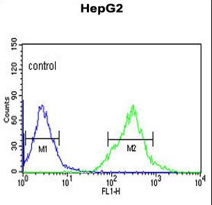 AFMID Antibody - AFMID Antibody flow cytometry of HepG2 cells (right histogram) compared to a negative control cell (left histogram). FITC-conjugated goat-anti-rabbit secondary antibodies were used for the analysis.