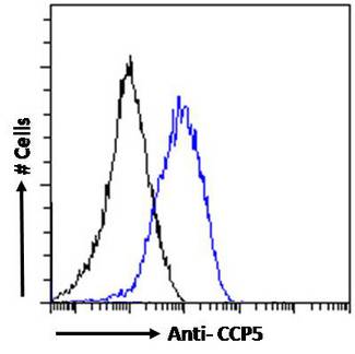 AGBL5 Antibody - CCP5 antibody flow cytometric analysis of paraformaldehyde fixed NIH3T3 cells (blue line), permeabilized with 0.5% Triton. Primary incubation overnight (10ug/ml) followed by Alexa Fluor 488 secondary antibody (1ug/ml). IgG control: Unimmunized goat IgG (black line) followed by Alexa Fluor 488 secondary antibody.