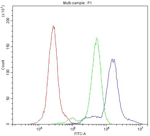 AGO1 / EIF2C Antibody - Flow Cytometry analysis of HL-60 cells using anti-EIF2C1/AGO1 antibody. Overlay histogram showing HL-60 cells stained with anti-EIF2C1/AGO1 antibody (Blue line). The cells were blocked with 10% normal goat serum. And then incubated with rabbit anti-EIF2C1/AGO1 Antibody (1µg/10E6 cells) for 30 min at 20°C. DyLight®488 conjugated goat anti-rabbit IgG (5-10µg/10E6 cells) was used as secondary antibody for 30 minutes at 20°C. Isotype control antibody (Green line) was rabbit IgG (1µg/10E6 cells) used under the same conditions. Unlabelled sample (Red line) was also used as a control.