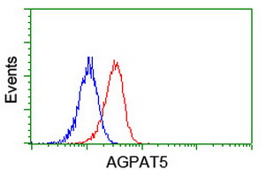 AGPAT5 Antibody - Flow cytometry of Jurkat cells, using anti-AGPAT5 antibody (Red), compared to a nonspecific negative control antibody (Blue).