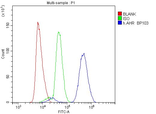 AHR Antibody - Flow Cytometry analysis of U937 cells using anti-AHR antibody. Overlay histogram showing U937 cells stained with anti-AHR antibody (Blue line). The cells were blocked with 10% normal goat serum. And then incubated with rabbit anti-AHR Antibody (1µg/1x106 cells) for 30 min at 20°C. DyLight®488 conjugated goat anti-rabbit IgG (5-10µg/1x106 cells) was used as secondary antibody for 30 minutes at 20°C. Isotype control antibody (Green line) was rabbit IgG (1µg/1x106) used under the same conditions. Unlabelled sample (Red line) was also used as a control.