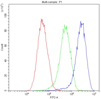 AHSG / Fetuin A Antibody - Flow Cytometry analysis of HEPG2 cells using anti-Fetuin A antibody. Overlay histogram showing HEPG2 cells stained with anti-Fetuin A antibody (Blue line). The cells were blocked with 10% normal goat serum. And then incubated with rabbit anti-Fetuin A Antibody (1µg/10E6 cells) for 30 min at 20°C. DyLight®488 conjugated goat anti-rabbit IgG (5-10µg/10E6 cells) was used as secondary antibody for 30 minutes at 20°C. Isotype control antibody (Green line) was rabbit IgG (1µg/10E6 cells) used under the same conditions. Unlabelled sample (Red line) was also used as a control.