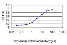AHSG / Fetuin A Antibody - Detection limit for recombinant GST tagged AHSG is approximately 0.1 ng/ml as a capture antibody.