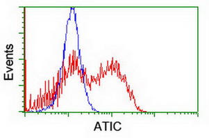 AICAR / ATIC Antibody - HEK293T cells transfected with either overexpress plasmid (Red) or empty vector control plasmid (Blue) were immunostained by anti-ATIC antibody, and then analyzed by flow cytometry.