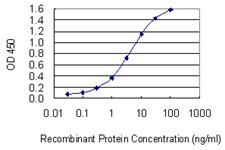 AIF1 / IBA1 Antibody - Detection limit for recombinant GST tagged AIF1 is 0.03 ng/ml as a capture antibody.