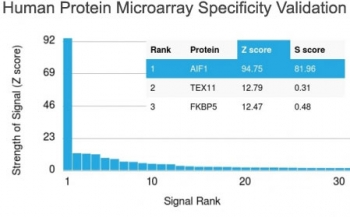 AIF1 / IBA1 Antibody - Analysis of HuProt(TM) microarray containing more than 19,000 full-length human proteins using IBA1 antibody (clone AIF1/1909). These results demonstrate the foremost specificity of the AIF1/1909 mAb. Z- and S- score: The Z-score represents the strength of a signal that an antibody (in combination with a fluorescently-tagged anti-IgG secondary Ab) produces when binding to a particular protein on the HuProt(TM) array. Z-scores are described in units of standard deviations (SDs) above the mean value of all signals generated on that array. If the targets on the HuProt(TM) are arranged in descending order of the Z-score, the S-score is the difference (also in units of SDs) between the Z-scores. The S-score therefore represents the relative target specificity of an Ab to its intended target.