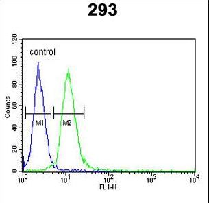 AIFM1 / AIF / PDCD8 Antibody - AIFM1 Antibody flow cytometry of 293 cells (right histogram) compared to a negative control cell (left histogram). FITC-conjugated goat-anti-rabbit secondary antibodies were used for the analysis.
