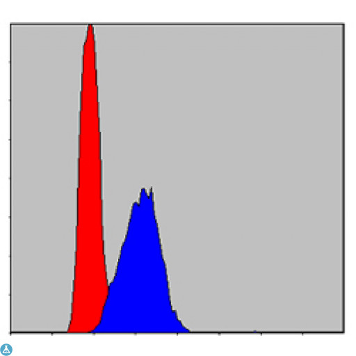 AIFM1 / AIF / PDCD8 Antibody - Flow cytometric (FCM) analysis of HepG2 cells using AIF-M1 Monoclonal Antibody (blue) and negative control (red).