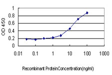 AIM / CD5L Antibody - Detection limit for recombinant GST tagged CD5L is approximately 0.3 ng/ml as a capture antibody.