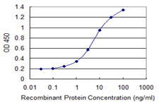 AIPL1 Antibody - Detection limit for recombinant GST tagged AIPL1 is 0.1 ng/ml as a capture antibody.