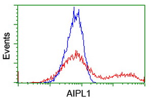 AIPL1 Antibody - HEK293T cells transfected with either overexpress plasmid (Red) or empty vector control plasmid (Blue) were immunostained by anti-AIPL1 antibody, and then analyzed by flow cytometry.
