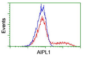 AIPL1 Antibody - HEK293T cells transfected with either overexpress plasmid (Red) or empty vector control plasmid (Blue) were immunostained by anti-AIPL1 antibody, and then analyzed by flow cytometry.