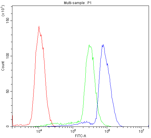 AIRE Antibody - Flow Cytometry analysis of THP-1 cells using anti-AIRE antibody. Overlay histogram showing THP-1 cells stained with anti-AIRE antibody (Blue line). The cells were blocked with 10% normal goat serum. And then incubated with rabbit anti-AIRE Antibody (1µg/10E6 cells) for 30 min at 20°C. DyLight®488 conjugated goat anti-rabbit IgG (5-10µg/10E6 cells) was used as secondary antibody for 30 minutes at 20°C. Isotype control antibody (Green line) was rabbit IgG (1µg/10E6 cells) used under the same conditions. Unlabelled sample (Red line) was also used as a control.