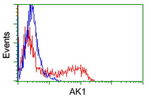 AK1 / Adenylate Kinase 1 Antibody - HEK293T cells transfected with either overexpress plasmid (Red) or empty vector control plasmid (Blue) were immunostained by anti-AK1 antibody, and then analyzed by flow cytometry.