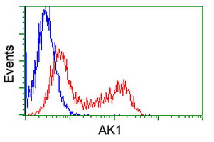 AK1 / Adenylate Kinase 1 Antibody - HEK293T cells transfected with either overexpress plasmid (Red) or empty vector control plasmid (Blue) were immunostained by anti-AK1 antibody, and then analyzed by flow cytometry.
