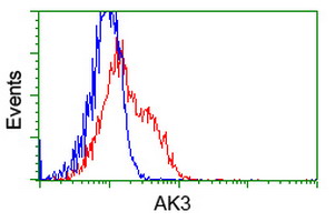 AK3 / Adenylate Kinase 3 Antibody - HEK293T cells transfected with eitheroverexpress plasmid(Red) or empty vector control plasmid(Blue) were immunostained by anti-AK3 antibody, and then analyzed by flow cytometry.