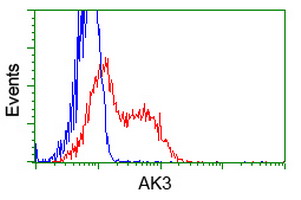 AK3 / Adenylate Kinase 3 Antibody - HEK293T cells transfected with either overexpress plasmid (Red) or empty vector control plasmid (Blue) were immunostained by anti-AK3 antibody, and then analyzed by flow cytometry.
