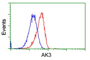 AK3 / Adenylate Kinase 3 Antibody - Flow cytometry of HeLa cells, using anti-AK3 antibody (Red), compared to a nonspecific negative control antibody (Blue).