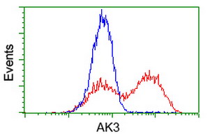 AK3 / Adenylate Kinase 3 Antibody - HEK293T cells transfected with either overexpress plasmid (Red) or empty vector control plasmid (Blue) were immunostained by anti-AK3 antibody, and then analyzed by flow cytometry.