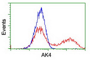 AK4 / Adenylate Kinase 4 Antibody - HEK293T cells transfected with either overexpress plasmid (Red) or empty vector control plasmid (Blue) were immunostained by anti-AK4 antibody, and then analyzed by flow cytometry.