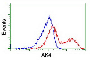 AK4 / Adenylate Kinase 4 Antibody - HEK293T cells transfected with either overexpress plasmid (Red) or empty vector control plasmid (Blue) were immunostained by anti-AK4 antibody, and then analyzed by flow cytometry.