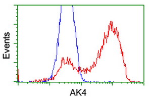 AK4 / Adenylate Kinase 4 Antibody - HEK293T cells transfected with either overexpress plasmid (Red) or empty vector control plasmid (Blue) were immunostained by anti-AK4 antibody, and then analyzed by flow cytometry.