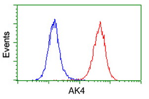 AK4 / Adenylate Kinase 4 Antibody - Flow cytometry of HeLa cells, using anti-AK4 antibody (Red), compared to a nonspecific negative control antibody (Blue).