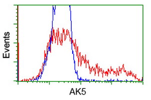 AK5 / Adenylate Kinase 5 Antibody - HEK293T cells transfected with either overexpress plasmid (Red) or empty vector control plasmid (Blue) were immunostained by anti-AK5 antibody, and then analyzed by flow cytometry.
