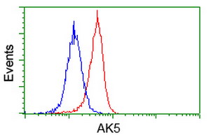 AK5 / Adenylate Kinase 5 Antibody - Flow cytometric Analysis of Hela cells, using anti-AK5 antibody, (Red), compared to a nonspecific negative control antibody, (Blue).